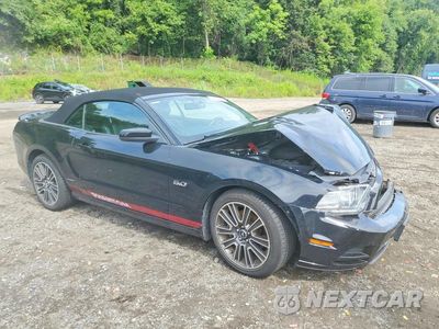 Czwarte zdjęcie samochodu z boku: 2013 FORD MUSTANG GT VIN:1ZVBP8FF7D5254132 - miniatura