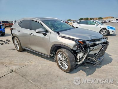 Czwarte zdjęcie samochodu z boku: 2025 LEXUS NX 350 LUXURY VIN:2T2HGCEZ3SC070751 - miniatura