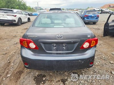 Zdjęcie 6 z 12 samochodu: 2009 TOYOTA COROLLA LE VIN:2T1BU40EX9C134288 - miniatura