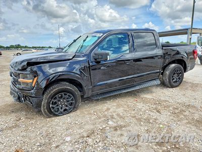 2025 FORD F150 XLT 1FTFW3L56SKF03900 - główne zdjęcie licytacji z USA - miniatura