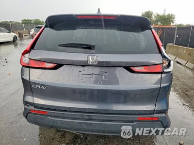 Zdjęcie 6 z 14 samochodu: 2025 HONDA CR-V LX VIN:2HKRS3H29SH302658 - miniatura