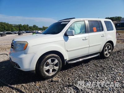 2013 HONDA PILOT EXL 5FNYF3H53DB001024 - główne zdjęcie licytacji z USA - miniatura