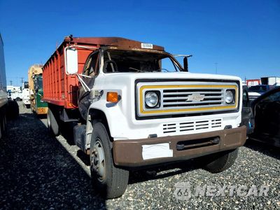 Czwarte zdjęcie samochodu z boku: 1981 CHEVROLET C7 GRAIN TRUCK VIN:1GBL7D1EXBV131327 - miniatura