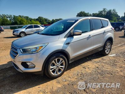 2017 FORD ESCAPE SE 1FMCU0GD9HUB49159 - główne zdjęcie licytacji z USA - miniatura
