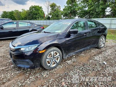 2016 HONDA CIVIC LX 19XFC2F55GE216265 - główne zdjęcie licytacji z USA - miniatura