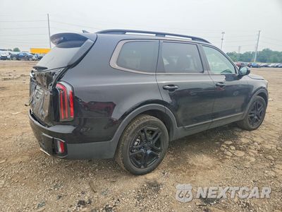 Trzecie zdjęcie samochodu z tyłu: 2025 KIA TELLURIDE SX-PRESTIGE X-LINE VIN:5XYP5DGC0SG668045 - miniatura