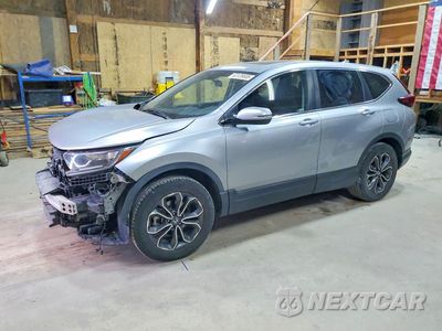 2020 HONDA CR-V EX 2HKRW2H58LH695269 - główne zdjęcie licytacji z USA - miniatura