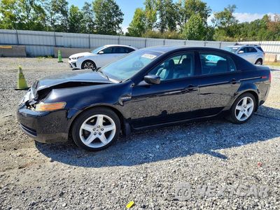 2005 ACURA TL 19UUA66245A071022 - główne zdjęcie licytacji z USA - miniatura