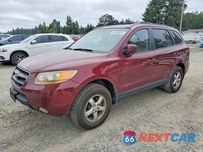2009 HYUNDAI SANTA FE GL 5NMSG13E69H256772 - główne zdjęcie licytacji z USA - miniatura