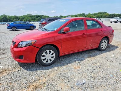 2010 TOYOTA COROLLA LE 1NXBU4EE6AZ354538 - główne zdjęcie licytacji z USA - miniatura