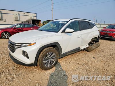 2022 HYUNDAI TUSON BLUE KM8JBCA14NU051228 - główne zdjęcie licytacji z USA - miniatura