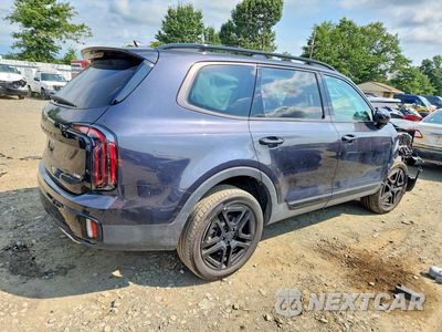 Trzecie zdjęcie samochodu z tyłu: 2025 KIA TELLURIDE SX-PRESTIGE X-LINE VIN:5XYP5DGC4SG659770 - miniatura