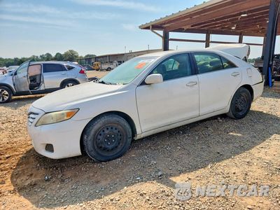 2010 TOYOTA CAMRY LE 4T1BF3EK3AU520797 - główne zdjęcie licytacji z USA - miniatura