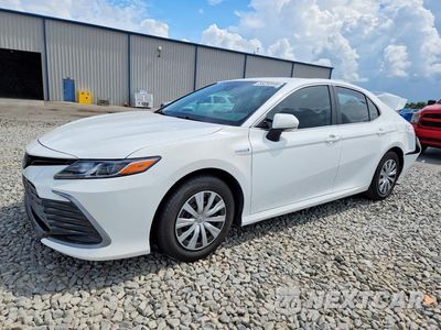 2021 TOYOTA CAMRY LE 4T1C31AK6MU568340 - główne zdjęcie licytacji z USA - miniatura