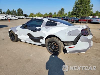 Drugie zdjęcie samochodu z przodu: 2014 FORD MUSTANG VIN:1ZVBP8AM9E5287494 - miniatura