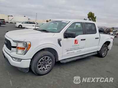 2021 FORD F150 SUPERCREW 1FTEW1CP4MKE95784 - główne zdjęcie licytacji z USA - miniatura