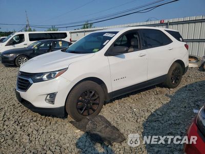 2019 CHEVROLET EQUINOX LS 3GNAXHEV2KL191890 - główne zdjęcie licytacji z USA - miniatura