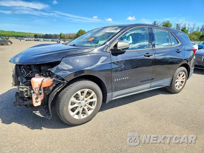 2019 CHEVROLET EQUINOX LS 3GNAXSEV9KL288503 - główne zdjęcie licytacji z USA - miniatura