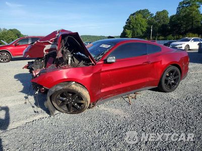 2019 FORD MUSTANG 1FA6P8TH2K5117466 - główne zdjęcie licytacji z USA - miniatura