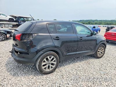 Trzecie zdjęcie samochodu z tyłu: 2016 KIA SPORTAGE LX VIN:KNDPBCAC4G7879037 - miniatura