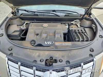 Zdjęcie 11 z 12 samochodu: 2013 CADILLAC SRX LUXURY COLLECTION VIN:3GYFNCE38DS554315 - miniatura