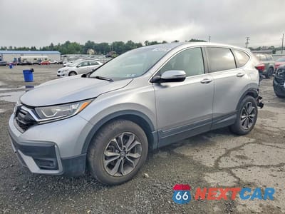 2020 HONDA CR-V EX 2HKRW2H56LH667082 - główne zdjęcie licytacji z USA - miniatura