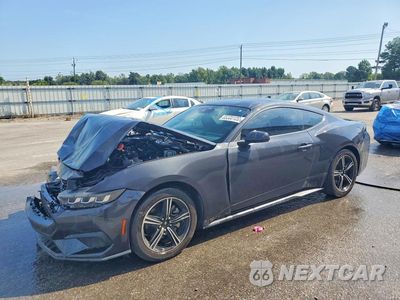 2024 FORD MUSTANG 1FA6P8TH6R5145636 - główne zdjęcie licytacji z USA - miniatura