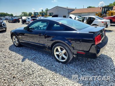 Drugie zdjęcie samochodu z przodu: 2009 FORD MUSTANG VIN:1ZVHT80N695102369 - miniatura