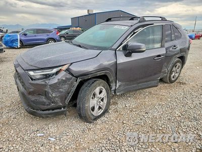 2023 TOYOTA RAV4 XLE 2T3P1RFV4PC339810 - główne zdjęcie licytacji z USA - miniatura
