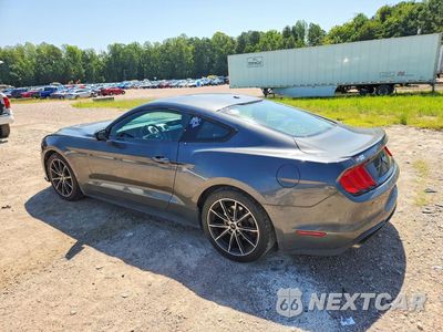 Drugie zdjęcie samochodu z przodu: 2019 FORD MUSTANG VIN:1FA6P8TH7K5167571 - miniatura
