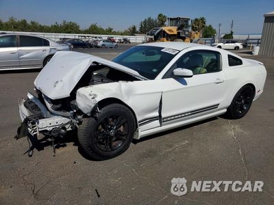 2014 FORD MUSTANG 1ZVBP8AMXE5222573 - główne zdjęcie licytacji z USA - miniatura