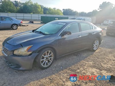 2009 NISSAN MAXIMA 3.5 S 1N4AA51E39C816517 - główne zdjęcie licytacji z USA - miniatura