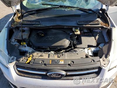 Zdjęcie 12 z 13 samochodu: 2014 FORD ESCAPE SE VIN:1FMCU0GX9EUE33932 - miniatura