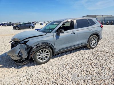 2024 HONDA CR-V EXL 7FARS3H7XRE003902 - główne zdjęcie licytacji z USA - miniatura