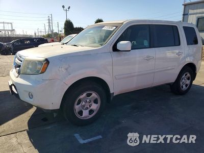 2011 HONDA PILOT EXL 5FNYF3H55BB003743 - główne zdjęcie licytacji z USA - miniatura
