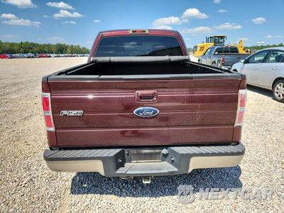 Zdjęcie 6 z 12 samochodu: 2009 FORD F150 SUPERCREW VIN:1FTPW12V99FA75415 - miniatura