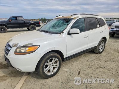2007 HYUNDAI SANTA FE SE 5NMSH73E27H043265 - główne zdjęcie licytacji z USA - miniatura