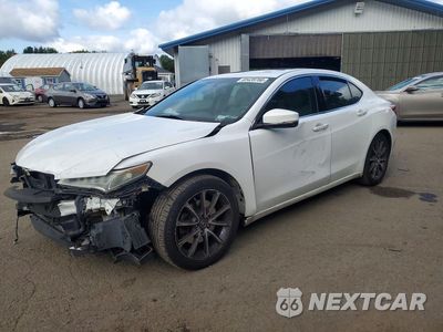 2015 ACURA TLX 19UUB2F37FA019724 - główne zdjęcie licytacji z USA - miniatura