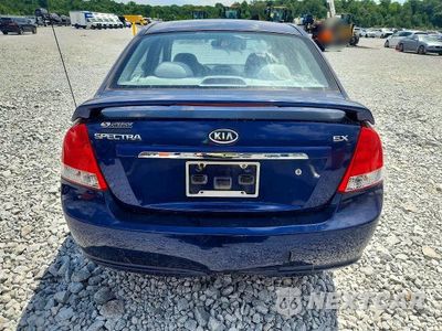 Zdjęcie 6 z 12 samochodu: 2008 KIA SPECTRA LX VIN:KNAFE121685540424 - miniatura