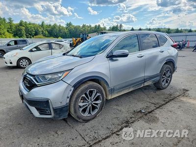 2020 HONDA CR-V EXL 5J6RW2H86LL042357 - główne zdjęcie licytacji z USA - miniatura