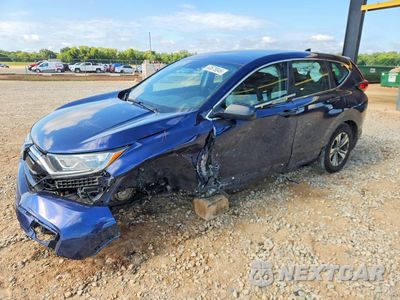 2020 HONDA CR-V LX 5J6RW1H25LA011134 - główne zdjęcie licytacji z USA - miniatura