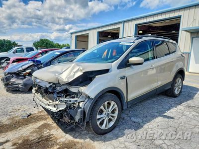 2017 FORD ESCAPE SE 1FMCU9GD5HUC17798 - główne zdjęcie licytacji z USA - miniatura