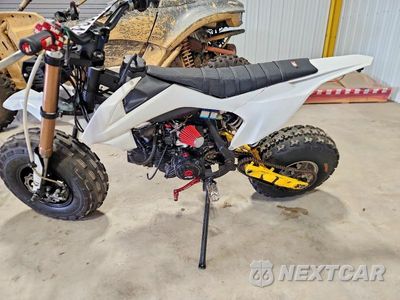 Trzecie zdjęcie samochodu z tyłu: 2020 PITS PRO VIN:A2BDR343ALJ018802 - miniatura