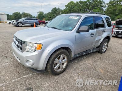 2009 FORD ESCAPE XLT 1FMCU03GX9KD08560 - główne zdjęcie licytacji z USA - miniatura