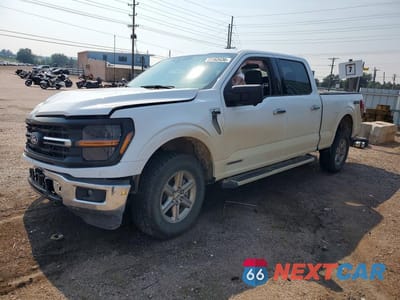 2024 FORD F150 XLT 1FTFW3LD0RFB73231 - główne zdjęcie licytacji z USA - miniatura