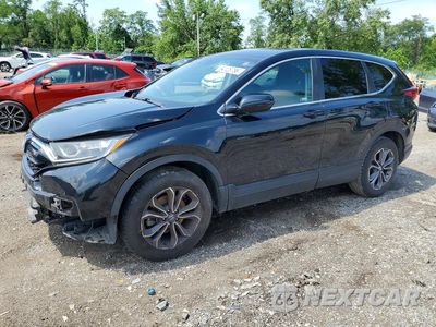 2022 HONDA CR-V EX 2HKRW2H50NH637126 - główne zdjęcie licytacji z USA - miniatura