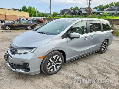 2026 HONDA ODYSSEY EXL 5FNRL6H61TB059266 - główne zdjęcie licytacji z USA - miniatura