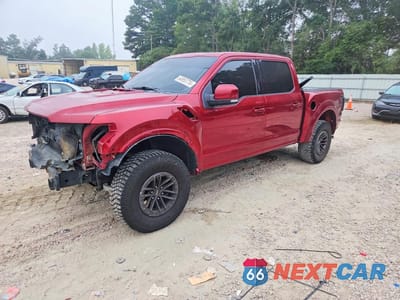 2019 FORD F150 RAPTOR 1FTFW1RG9KFB16960 - główne zdjęcie licytacji z USA - miniatura