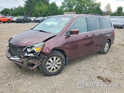 2009 HONDA ODYSSEY EXL 5FNRL38749B021692 - główne zdjęcie licytacji z USA - miniatura
