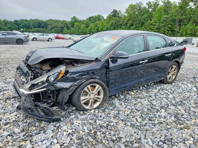 2019 HYUNDAI SONATA SEL 5NPE34AF6KH813758 - główne zdjęcie licytacji z USA - miniatura